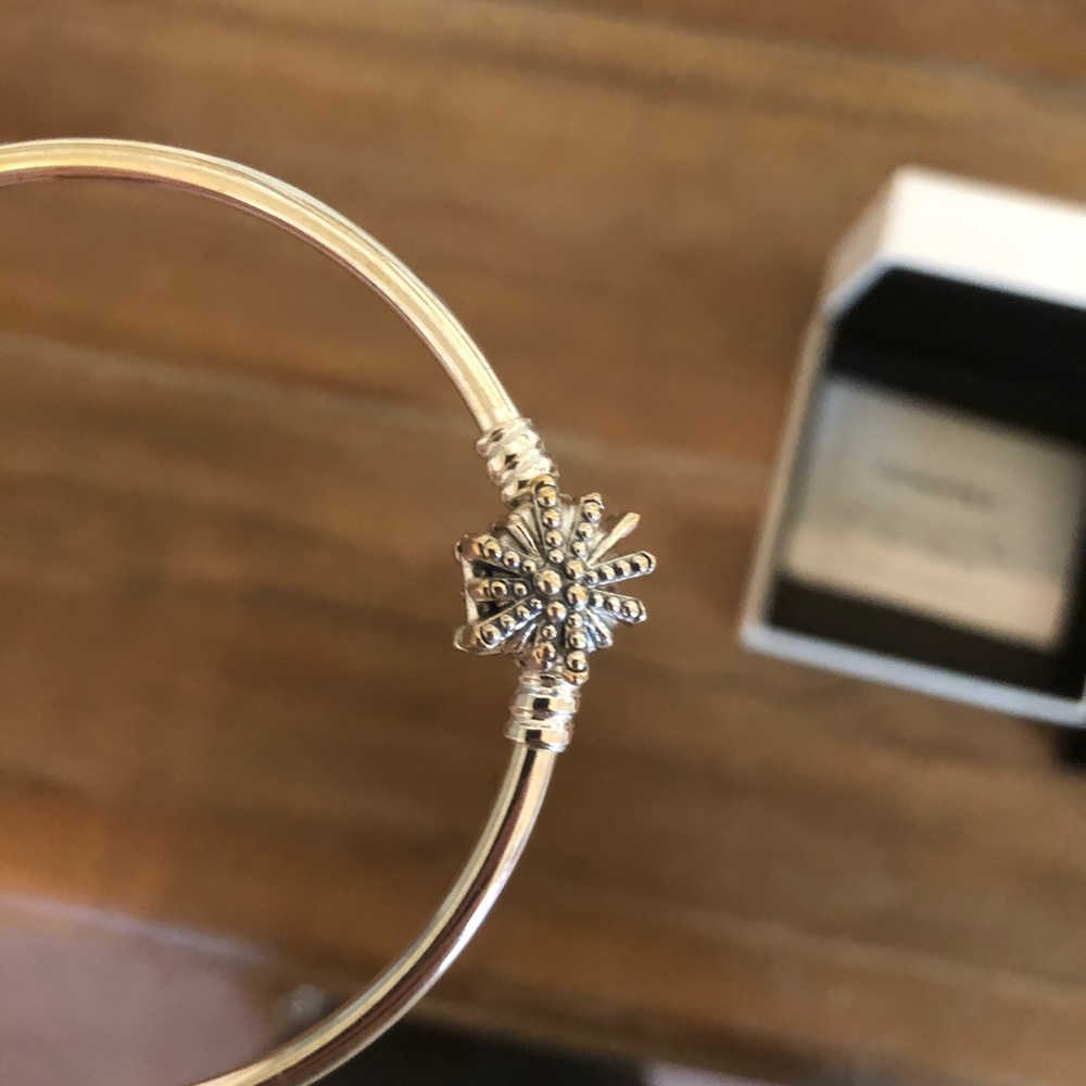 Pandora limited edition bracelet “Fireworks”